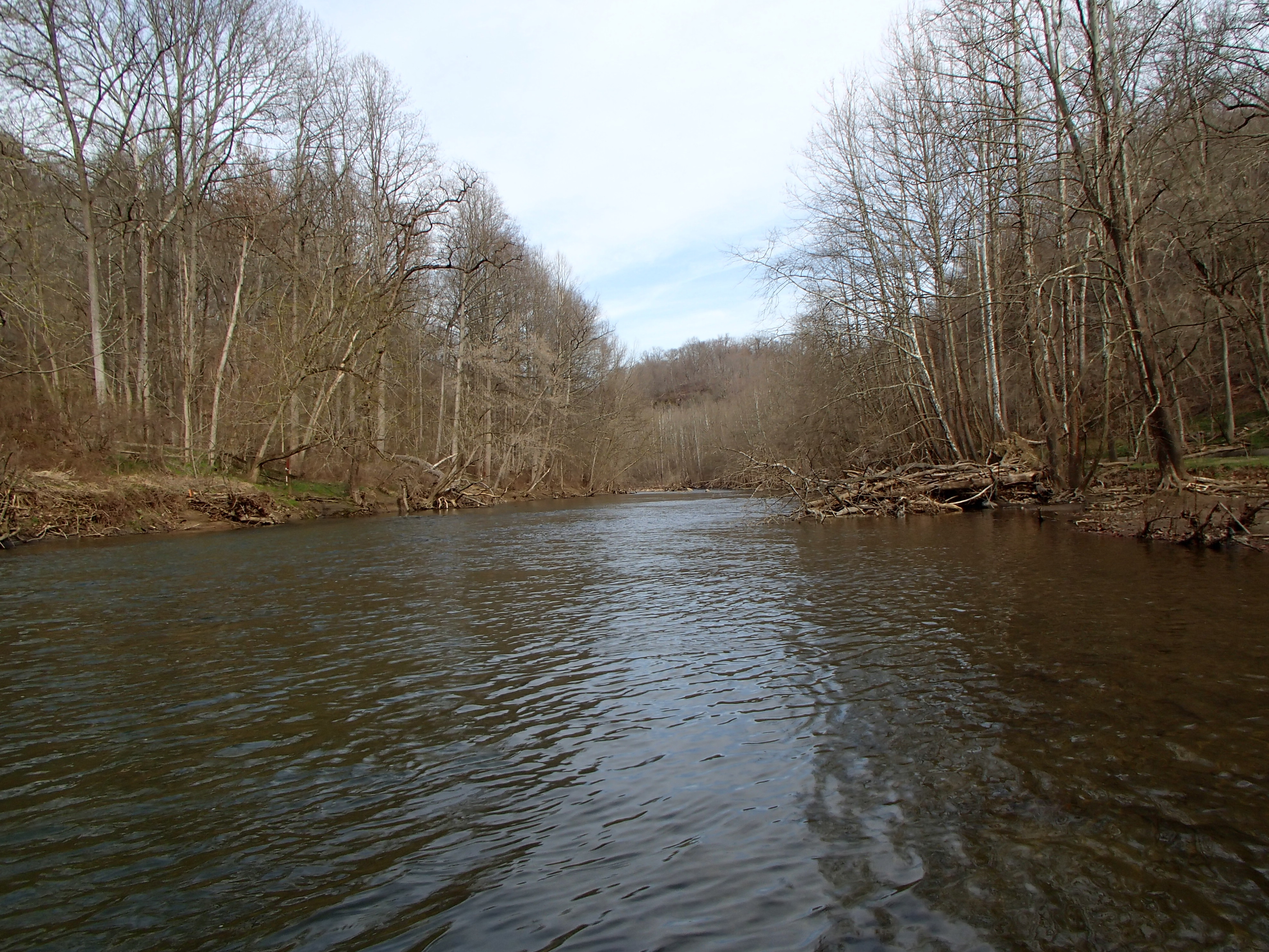 Field photo showing stream conditions at site PATL-501-X-2016_midpoint looking upstream